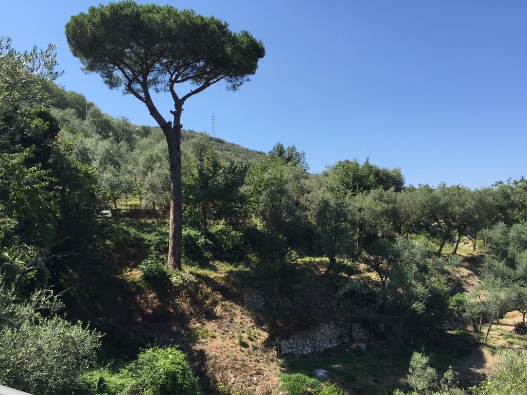 Il Casale Del Mirto Villa Vico Equense Eksteriør billede